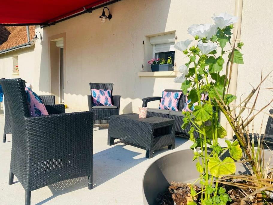 Gite Chez Paulette Mareuil-sur-Cher Extérieur photo